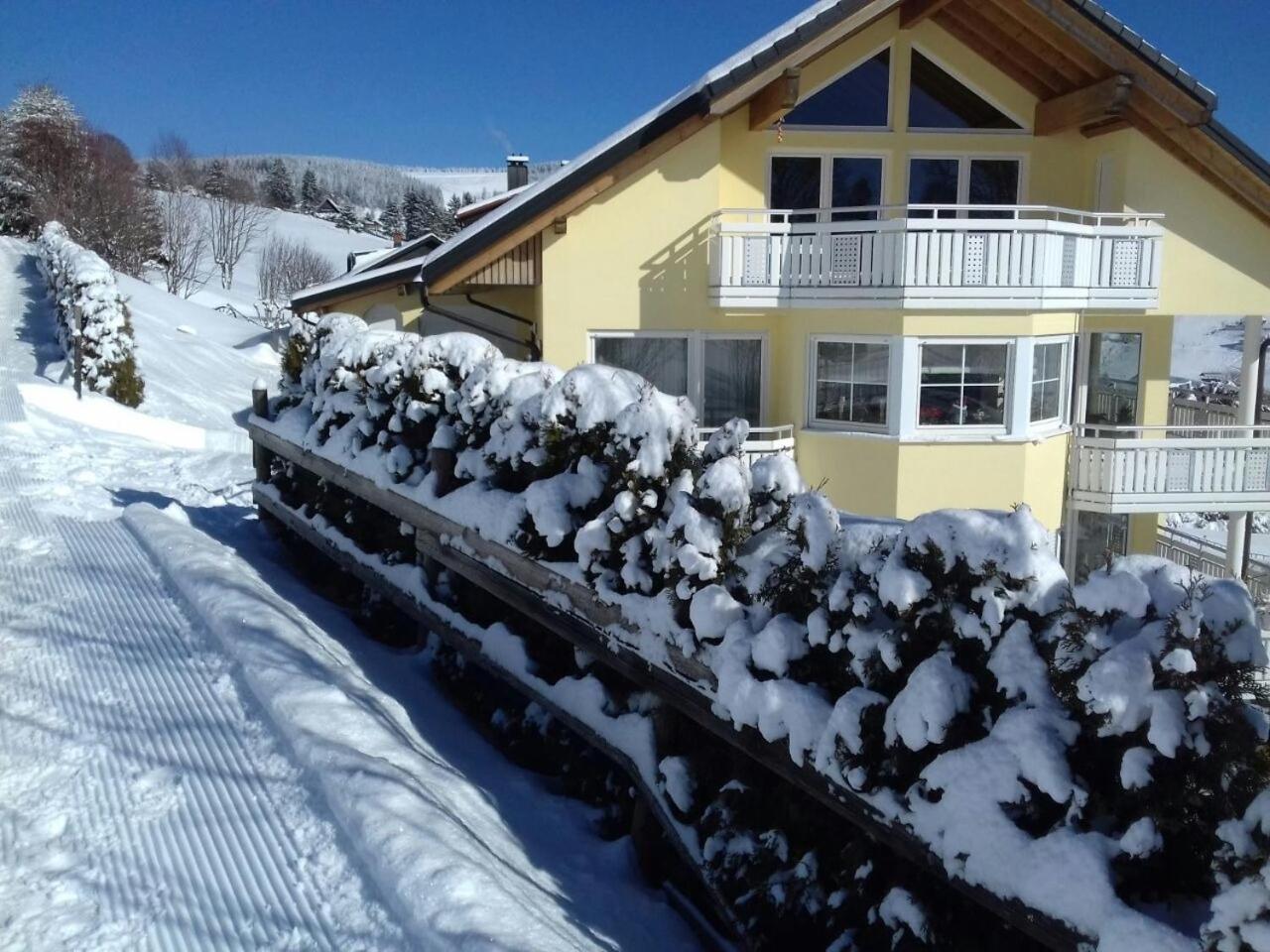 "Schwarzwaldblick" Ferienwohnung 2-4 Pers 65Qm, Schoene Ruhige Suedhanglage Mit Herrl Aussicht トートナウ エクステリア 写真