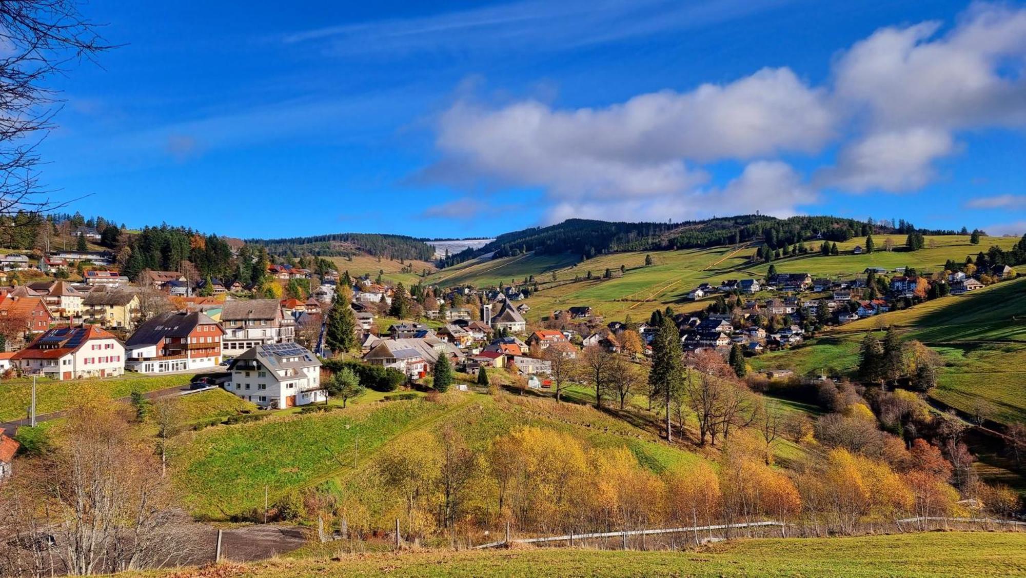 "Schwarzwaldblick" Ferienwohnung 2-4 Pers 65Qm, Schoene Ruhige Suedhanglage Mit Herrl Aussicht トートナウ エクステリア 写真