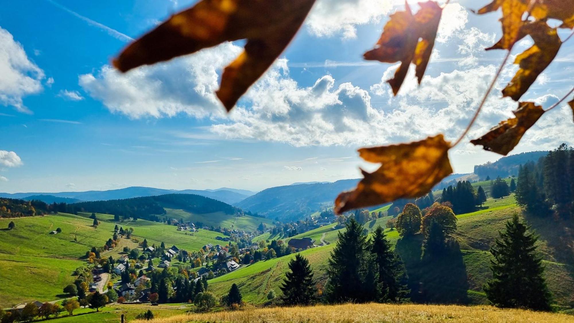 "Schwarzwaldblick" Ferienwohnung 2-4 Pers 65Qm, Schoene Ruhige Suedhanglage Mit Herrl Aussicht トートナウ エクステリア 写真